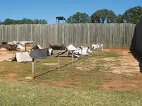 tents 1.webp