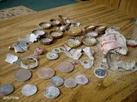PICT0020.webp