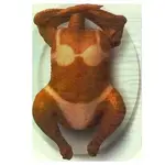 suntanned-turkey-xl.webp