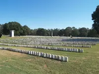 Graves 1.webp