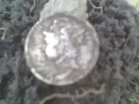 dime.webp