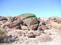 turtlehead.webp