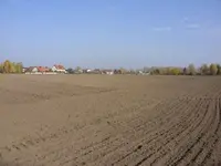 SDC10384.webp