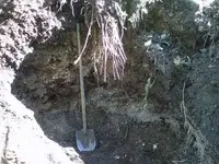 IMG00198-20100903-1541.webp