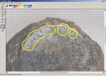 MysteryCoin.webp