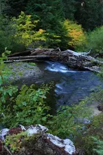 IMG_0719.webp