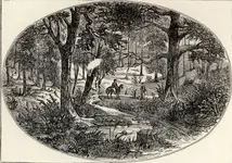king-mountain-battlefield.webp