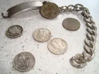 silver.webp