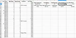 spreadsheet.webp