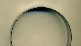 Microscopic Green Spots on Cardboard.webp