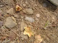 Out & About Today 001.webp