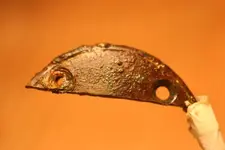 NC FINDS 10-15 009.webp