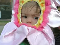 PICT0097.webp