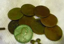 9-27 wheats.webp