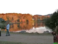 PICT0093.webp