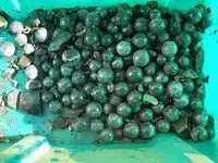 cannon balls 013.webp