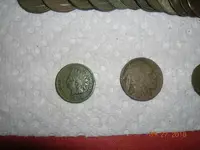 DSCN4227.webp