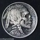 SKELETON.webp