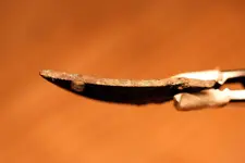 NC FINDS 10-16 029.webp