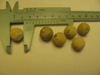 musket balls 9-27-10 002.webp