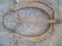 Seller Pics 1422.webp