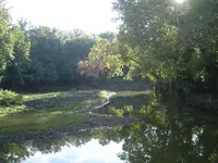 The Backwaters 006.webp