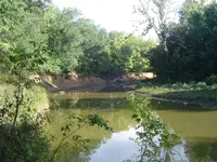 The Backwaters 002.webp
