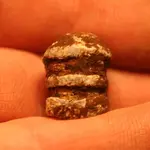 nc finds 11-18 007.webp