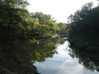 The Backwaters 009.webp