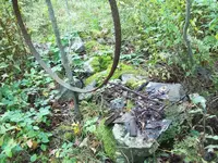 103_1168.webp