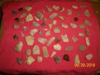 100_0833.webp