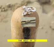 1118LOOT.webp