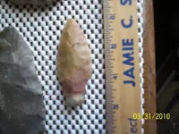 100_0653.webp