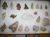 100_0830.webp