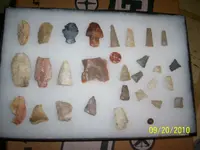 100_0831.webp