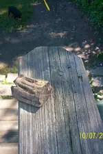 000_0001.webp