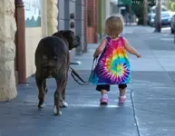 Image #1.webp