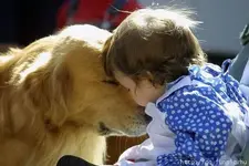 Image #2.webp