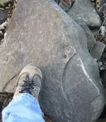 notnuttin.webp