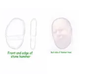 hammer head.webp