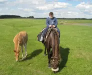 1205236648_karta20_1810.webp