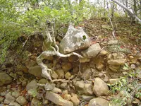 walking dry river beds 001.webp