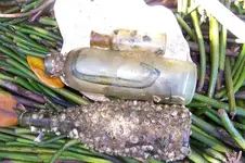 12-06-10 Finds #3.webp