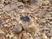 walking dry river beds 009.webp