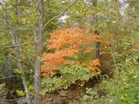 walking dry river beds 011.webp