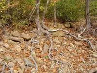 walking dry river beds 015.webp