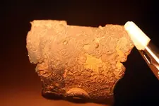 NC FINDS 9-16 001.webp