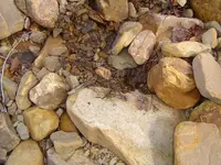 walking dry river beds 017.webp