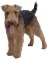 avatar_17693.webp