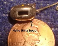Kitty Slide.webp